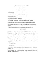 ĐỀ CƯƠNG ÔN TẬP VẬT LÝ LỚP 11 HK II