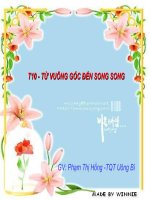 Tiết 10: Từ Vuông góc đến song song (Phạm Thị Hồng)