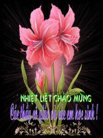 Bai Một số loài vật sống trên cạn
