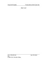 luận văn tài chính doanh nghiệp  Phân tích tài chính tại công ty Cổ Phần Thủ Đô Vàng