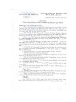 DỰ THẢO BÁO CÁO GIAO BAN QUÝ I/2011