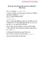 đề thi học sinh giỏi tỉnh lớp 10 năm 2010-2011