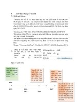 Môn quản trị chiến lược: Phân tích chiến lược công ty Cổ phần sữa Việt Nam Vinamilk