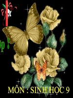 hình động quá trình giảm phân