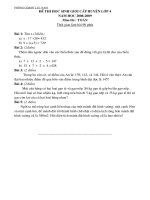 Đề thi HSG cấp huyện(Toán lớp4)