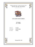 Mẫu bìa SKKN theo mẫu của Sở GD&ĐT Hà Nội