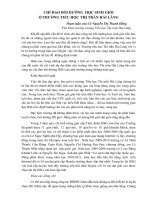 Chỉ đạo công tác bồi dưỡng học sinh giỏi ở trường Tiểu học thị trấn Hải Lăng