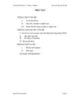 MAU SANG KIEN KINH NHIEM 2010