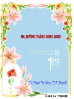 Tiết 6: Hai đường thẳng song song (Phạm Thị Hồng)