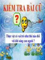 bai 49- bao ve su da dang cua TV