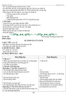 TUAN 29 KHOA - SU - DIA LOP 5 (HONG)