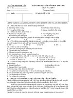 Đề kiểm tra HK2 vật lý 9