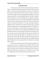 luận văn quản trị doanh nghiệp Một số giải pháp hoàn thiện công tác quản lý và sử dụng nguyên vật liệu tại Công ty TNHH ARKSUN