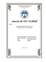Những vấn đề quản lý lao động tiền lương tại Công ty TNHH thương mại và sản xuất và Hải Thiên