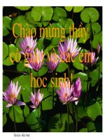 Lớp 4: Tập đọc