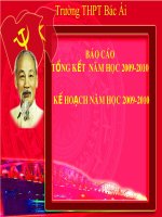 Bao Cao TKet Nam 2010