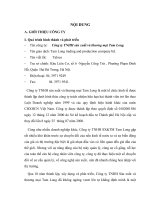 Báo cáo thực tập tổng hợp tại Công ty TNHH sản xuất và thương mại Tam Long.