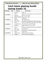 giao an chuan lop 3 tuan 31