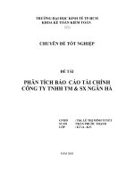 Phân tích báo cáo tài chính công ty TNHH & SX Ngân Hà