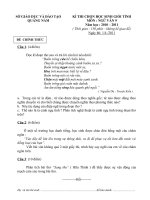 Đề & HDC Ngữ văn 9 cấp tỉnh năm học 2010-2011