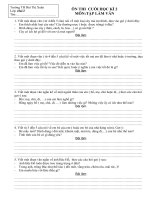 ôn thi tập làm văn CHK2