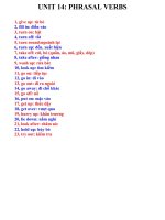 NGỮ PHÁP BÀI 14- LỚP 12