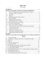 Kế toán chi phí sản xuất và tính giá thành sản phẩm tại công ty cổ phần PYMEPHARCO