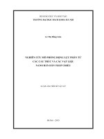 Nghiên cứu mô phỏng động lực phân tử các cấu trúc và các vật liệu nano bán dẫn thấp chiều