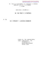 Báo cáo mạng truyền thông sử dụng giải pháp ormon