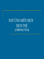 Bài giảng đáp ứng miễn dịch dịch thể (lymphocyte b)