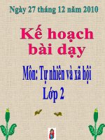 Một số loài vật sống ở dưới nước