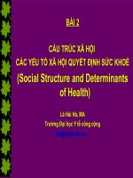 Bài giảng xã hội học sức khỏe   bài 2 : Cấu trúc xã hội các yếu tố xã hôi quyết định sức khỏe