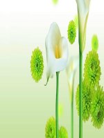 Bài 53- Tác Động Của Con Người Tới Môi Trường