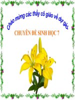 Báo cáo chuyên đề sinh hoc 7