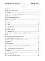 Đồ án thực phẩm tìm hiểu về công nghệ sản xuất lên men rượu vang sủi bọt