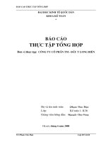 Báo cáo  Thực tập tổng hợp Đơn vị thực tập:  Công ty cổ phần TM  Đầu tư Long Biên