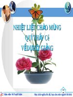 Hai đường thẳng chéo nhau - song song