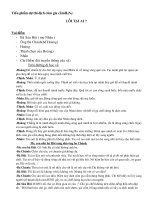 tieu pham phong chong cum gia cam (hay)