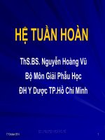 Bài giảng giải phẫu học  hệ tuần hoàn   ths BS  nguyễn hoàng vũ