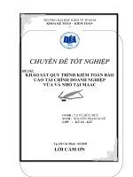 khảo sát quy trình kiểm toán báo cáo tài chính doanh nghiệp vừa và nhỏ tại maac