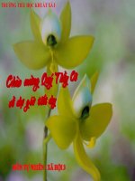 Tự nhiên xã hội lớp 3 tuần 32 Năm, tháng và mùa