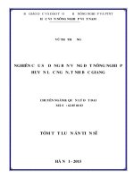 tóm tắt  Nghiên cứu sử dụng bền vững đất nông nghiệp huyện Lục Ngạn, tỉnh Bắc Giang.