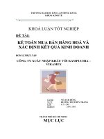 Kế toán mua bán hàng hoá và xác định kết quả kinh doanh tại công ty Vikamex