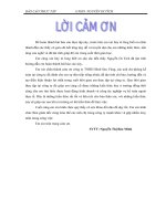 Kế toán lưu chuyển hàng hóa tại công ty TNHH – TM – XNK Bình Sen Vàng