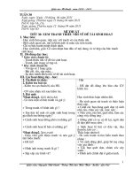 Giáo án mĩ thuật tuần 30