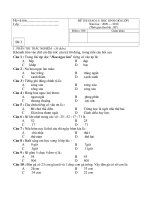 Đề thi học sinhgioir lớp 1