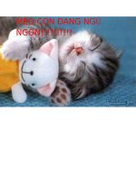 ĐỀ ĐẶC BIỆT TOÁN   2011 NÈ