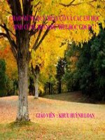 BÀI 16: Quyền tự do tín ngưỡng và tôn giáo .tiết 2