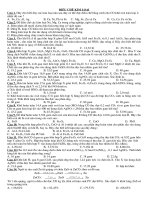 chuyen de dieu che kim loai