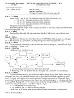 đề thi học sing giỏi vòng tỉnh( cà mau) sinh 9